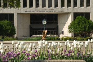Photograph of the front of Bender Library